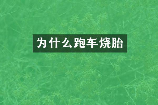 为什么跑车烧胎