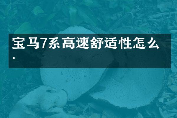 宝马7系高速舒适性怎么样