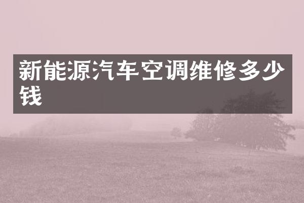 新能源汽车空调维修多少钱