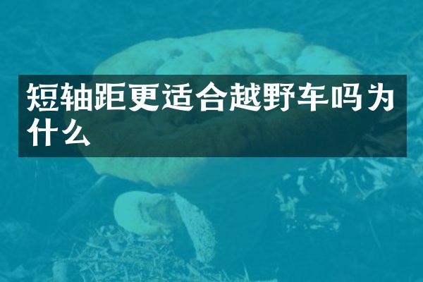 短轴距更适合越野车吗为什么
