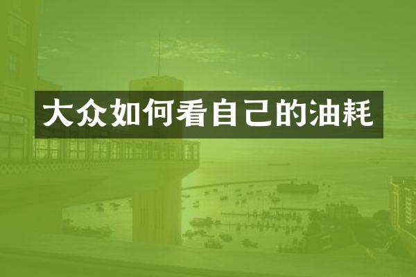 大众如何看自己的油耗