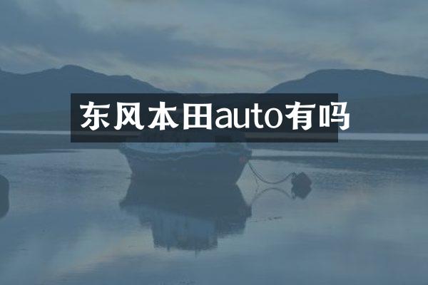 东风本田auto有吗