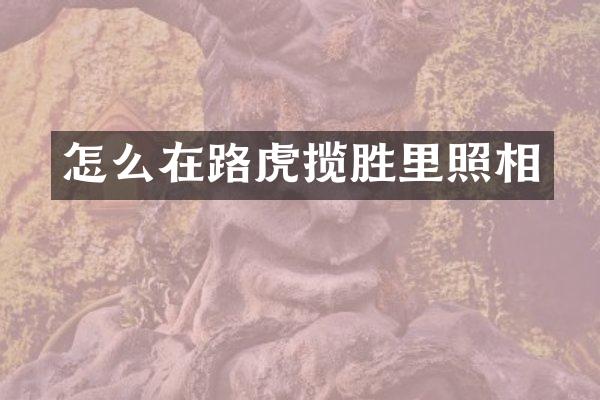 怎么在路虎揽胜里照相