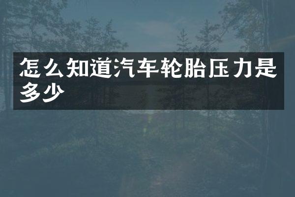 怎么知道汽车轮胎压力是多少