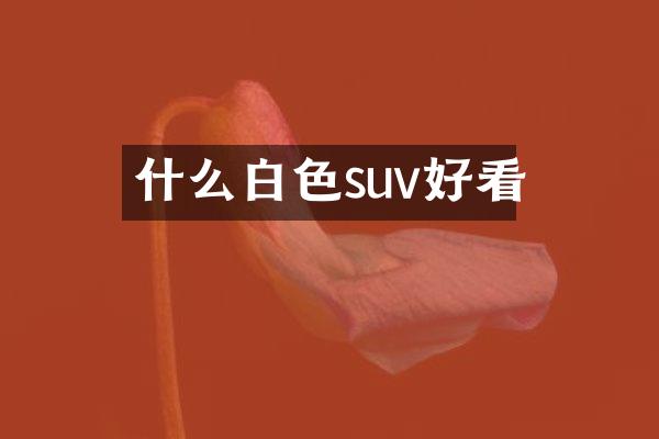什么白色suv好看