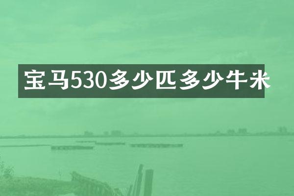 宝马530多少匹多少牛米