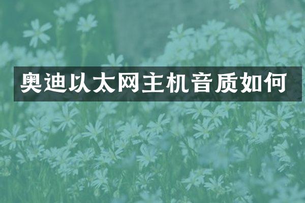 奥迪以太网主机音质如何