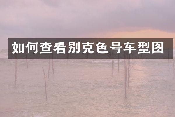 如何查看别克色号车型图