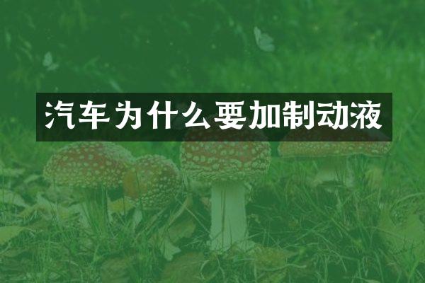 汽车为什么要加制动液