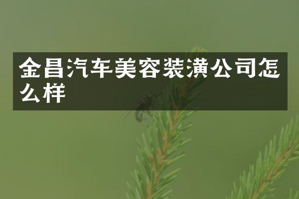 金昌汽车美容装潢公司怎么样