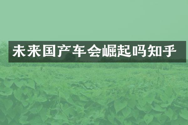 未来国产车会崛起吗知乎
