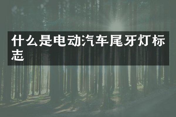 什么是电动汽车尾牙灯标志
