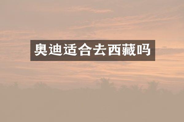 奥迪适合去西藏吗