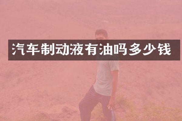 汽车制动液有油吗多少钱