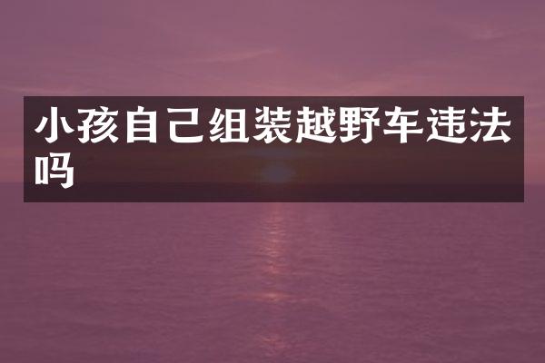 小孩自己组装越野车违法吗