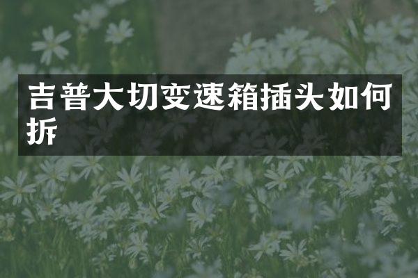 吉普大切变速箱插头如何拆