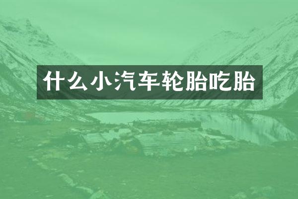 什么小汽车轮胎吃胎