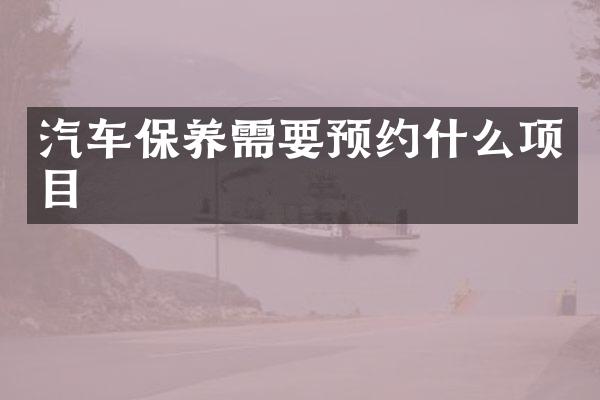 汽车保养需要预约什么项目