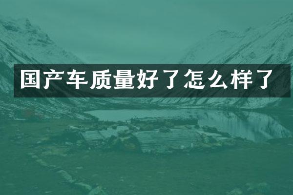 国产车质量好了怎么样了