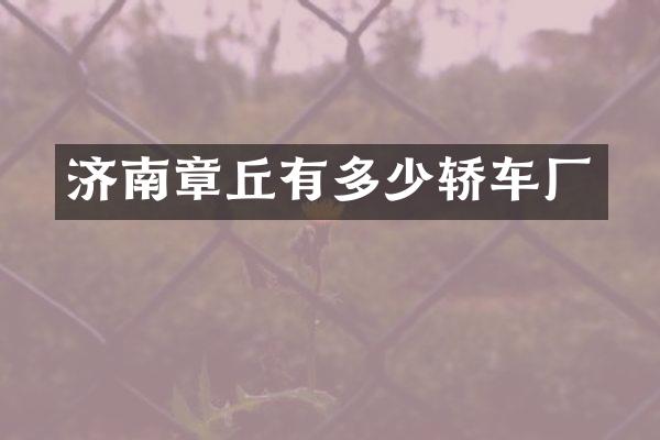 济南章丘有多少轿车厂