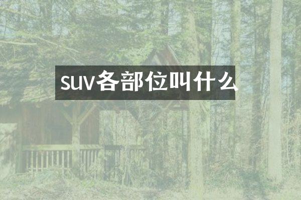 suv各部位叫什么