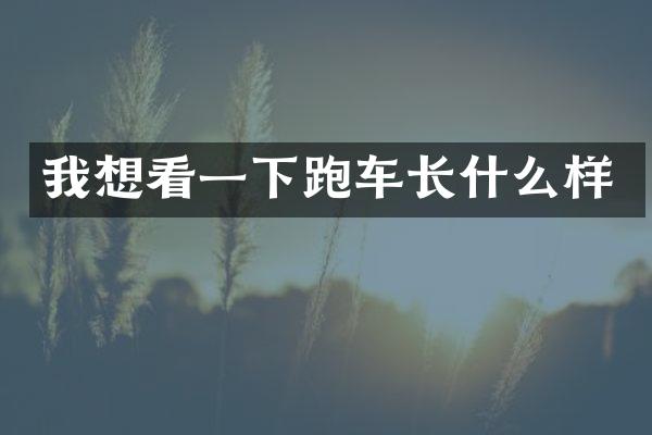 我想看一下跑车长什么样