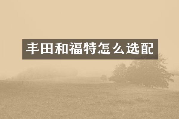 丰田和福特怎么选配