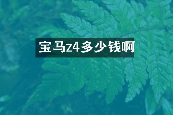 宝马z4多少钱啊