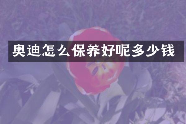奥迪怎么保养好呢多少钱