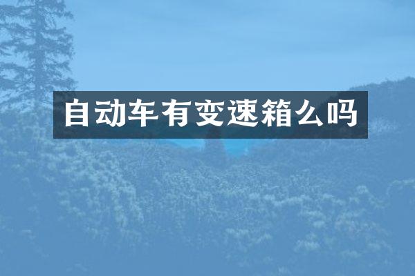 自动车有变速箱么吗