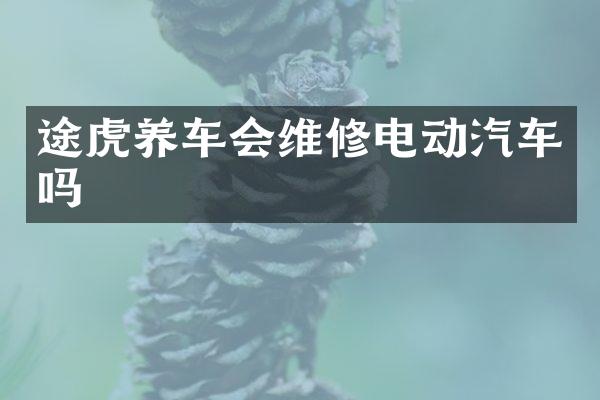 途虎养车会维修电动汽车吗