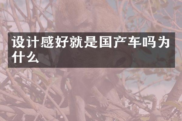 设计感好就是国产车吗为什么