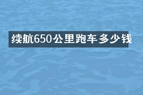 续航650公里跑车多少钱