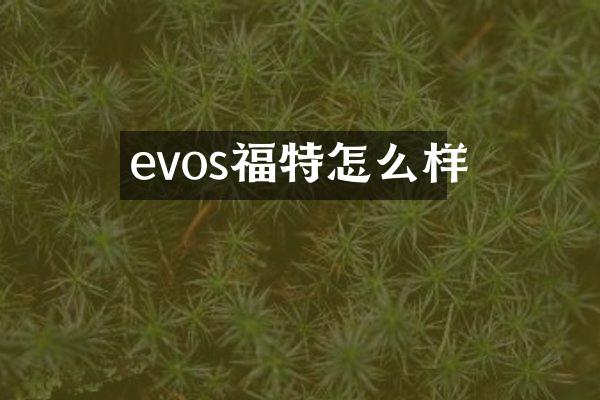 evos福特怎么样