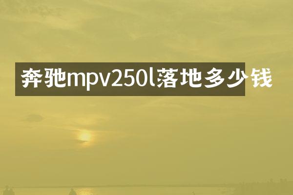 奔驰mpv250l落地多少钱