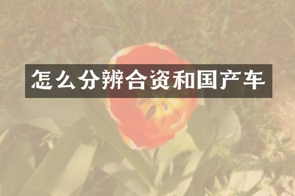 怎么分辨合资和国产车