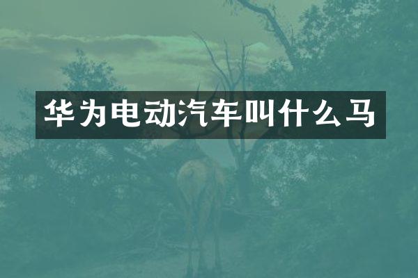 华为电动汽车叫什么马