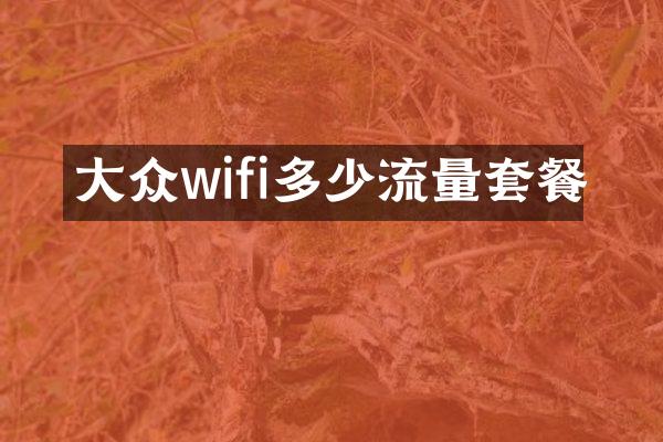 大众wifi多少流量套餐