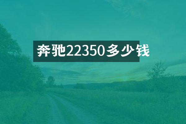 奔驰22350多少钱