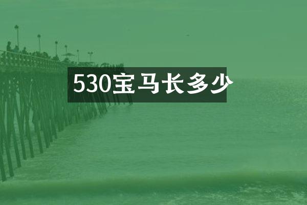530宝马长多少