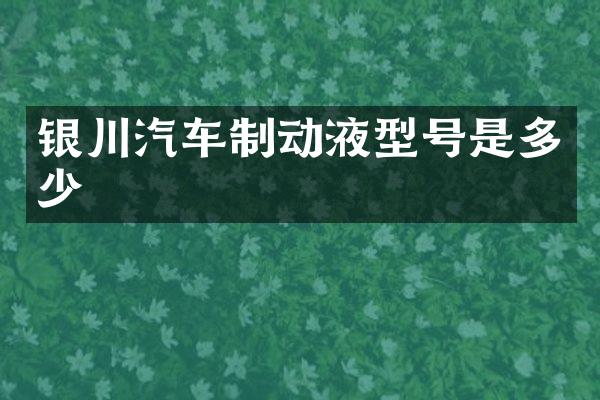 银川汽车制动液型号是多少