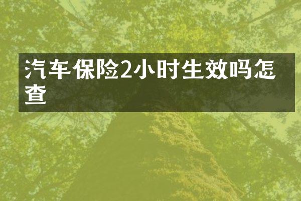 汽车保险2小时生效吗怎么查