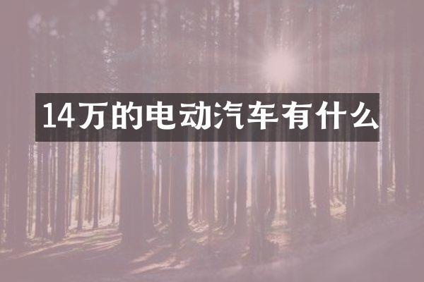 14万的电动汽车有什么