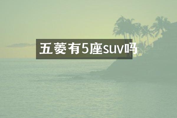 五菱有5座suv吗