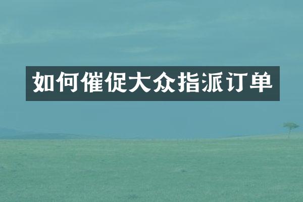 如何催促大众指派订单