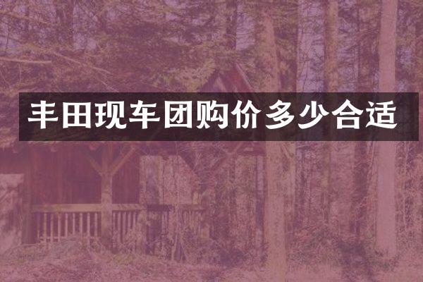 丰田现车团购价多少合适