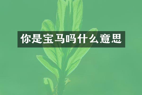 你是宝马吗什么意思