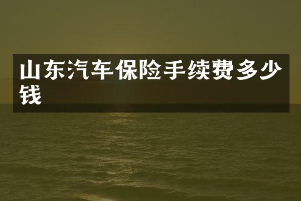 山东汽车保险手续费多少钱