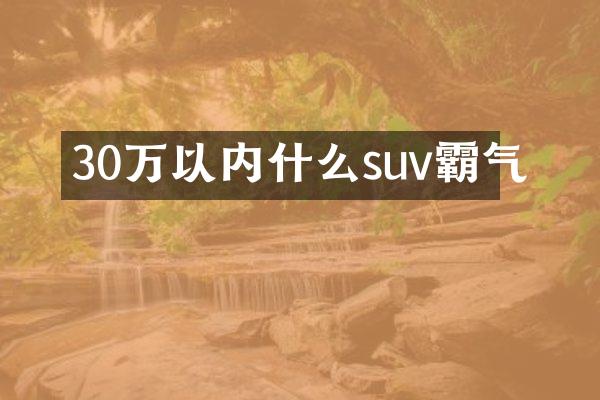 30万以内什么suv霸气