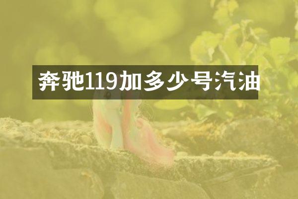 奔驰119加多少号汽油